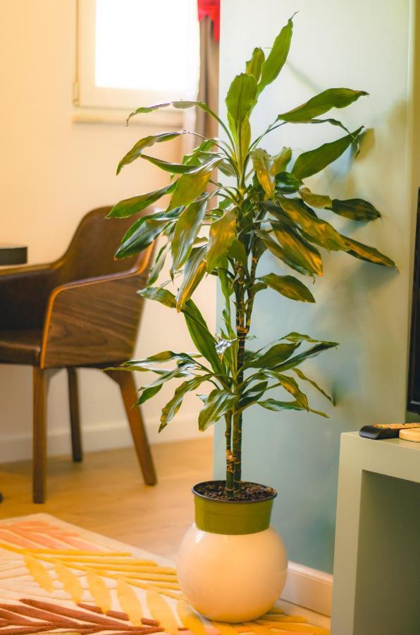 Bright Apartment Close To City Center Tirana Exteriör bild